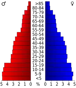 Schéma représentant la population du comté, par tranche d'âge. En rouge, à gauche, les femmes, en bleu à droite, les hommes.