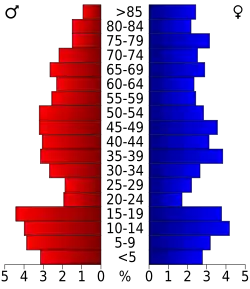 Schéma représentant la population du comté, par tranche d'âge. En rouge, à gauche, les femmes, en bleu à droite, les hommes.