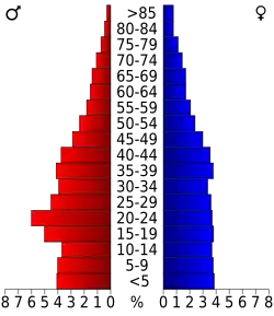 Schéma représentant la population du comté, par tranche d'âge. En rouge, à gauche, les femmes, en bleu à droite, les hommes.