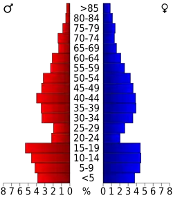Schéma représentant la population du comté, par tranche d'âge. En rouge, à gauche, les femmes, en bleu à droite, les hommes.