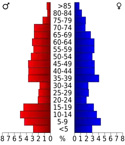 Schéma représentant la population du comté, par tranche d'âge. En rouge, à gauche, les femmes, en bleu à droite, les hommes.