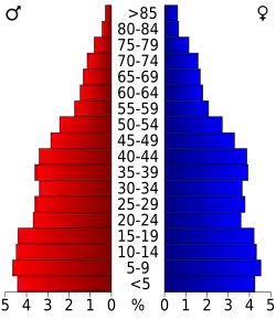 Schéma représentant la population du comté, par tranche d'âge. En rouge, à gauche, les femmes, en bleu à droite, les hommes.
