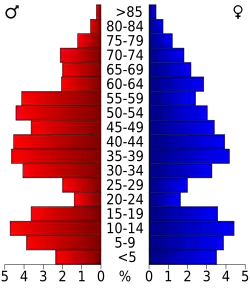 Schéma représentant la population du comté, par tranche d'âge. En rouge, à gauche, les femmes, en bleu à droite, les hommes.