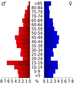 Schéma représentant la population du comté, par tranche d'âge. En rouge, à gauche, les femmes, en bleu à droite, les hommes.
