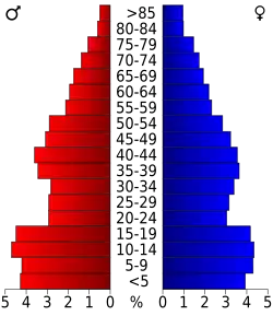 Schéma représentant la population du comté, par tranche d'âge. En rouge, à gauche, les femmes, en bleu à droite, les hommes.