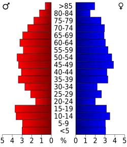 Schéma représentant la population du comté, par tranche d'âge. En rouge, à gauche, les femmes, en bleu à droite, les hommes.