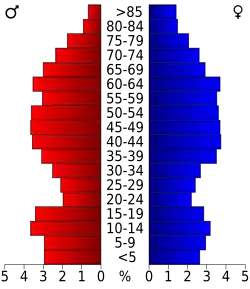 Schéma représentant la population du comté, par tranche d'âge. En rouge, à gauche, les femmes, en bleu à droite, les hommes.