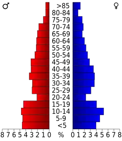 Schéma représentant la population du comté, par tranche d'âge. En rouge, à gauche, les femmes, en bleu à droite, les hommes.