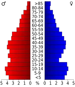 Schéma représentant la population du comté, par tranche d'âge. En rouge, à gauche, les femmes, en bleu à droite, les hommes.