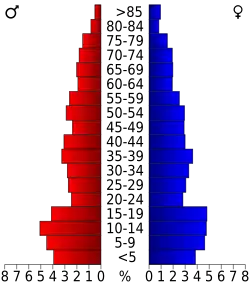 Schéma représentant la population du comté, par tranche d'âge. En rouge, à gauche, les femmes, en bleu à droite, les hommes.