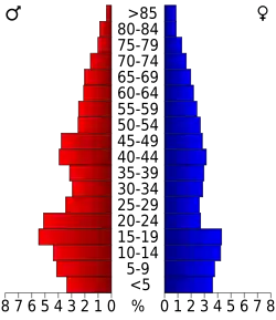 Schéma représentant la population du comté, par tranche d'âge. En rouge, à gauche, les femmes, en bleu à droite, les hommes.