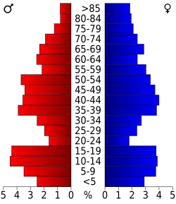 Schéma représentant la population du comté, par tranche d'âge. En rouge, à gauche, les femmes, en bleu à droite, les hommes.