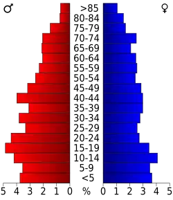 Schéma représentant la population du comté, par tranche d'âge. En rouge, à gauche, les femmes, en bleu à droite, les hommes.
