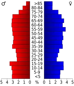 Schéma représentant la population du comté, par tranche d'âge. En rouge, à gauche, les femmes, en bleu à droite, les hommes.