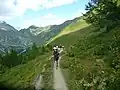 Vue du Petit (à gauche) et du Grand col Ferret (à droite) séparés par la tête de Ferret au fond du val Ferret italien lors de l'édition 2021 de l'UTMB.