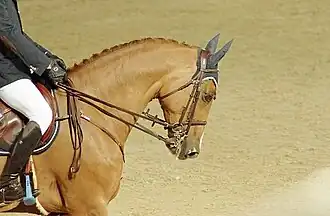 Uchin van de Centaur, lors du Global Champions Tour de Cannes (juin 2012).