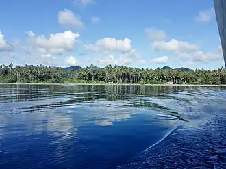 Vue de l'île depuis la mer.