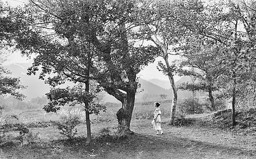 Une femme se promenant dans la campagne des Dourbes, 1921.