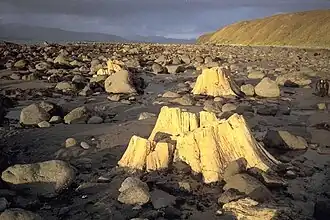 Image illustrative de l’article Île Unga