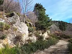 Affleurement de granite hercynien (c. 300Ma), Puig del Rocater.