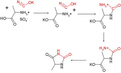 Mécanisme réactionnel de la synthèse d'hydantoïne d'Urech à partir de l'alanine