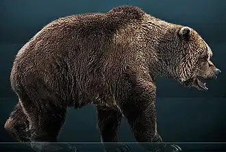 Reconstitution de l'Ours des cavernes (Ursus spelaeus).