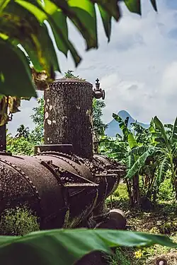Canalisations rouillées dans une plantation.