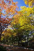 Le Parc Utsubo en automne