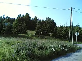 Uudenkyläntie.