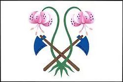 Drapeau de Vápenice