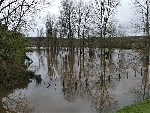 Crue de la Vézère à Aubas (janvier 2018). Le lit normal de la rivière se situe au-delà du rideau d'arbres.