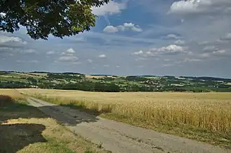 Dzbel