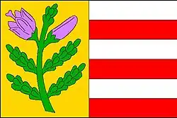 Drapeau de Vřeskovice