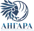 Logo du VK Angara