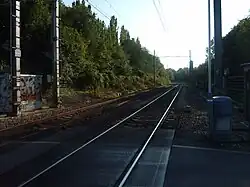 Au sud de Mennecy, la ligne s'enfonce dans la forêt qui occupe la vallée de l'Essonne.
