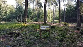 Site archéologique de Monarkengraf (commune de Vaalbeek).