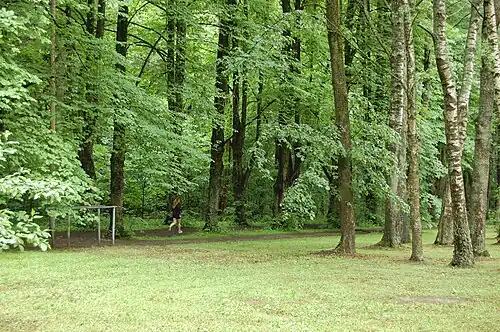 L'allée de tilleuls séparant les parties nord-est et nord-ouest.