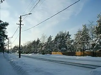 Image illustrative de l’article Vabaduse puiestee