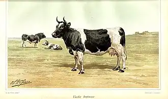 Dessin en couleurs d'une vache noir et blanc, vue de profil
