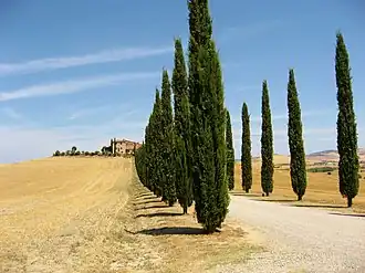 Val d'Orcia en Toscane.