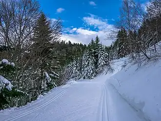 Vue aérienne de la station.