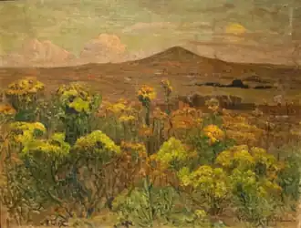 Fleurs sauvages de la dune.