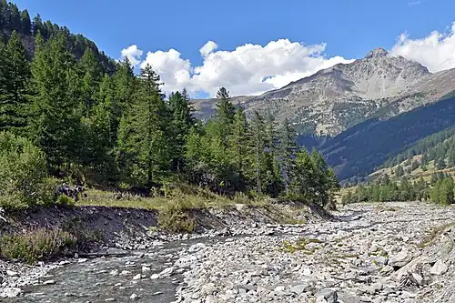 Vallée du Guil près d'Echalp.
