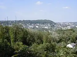 Vue de la vallée de l’Yvette, boisée et pavillonnaire.