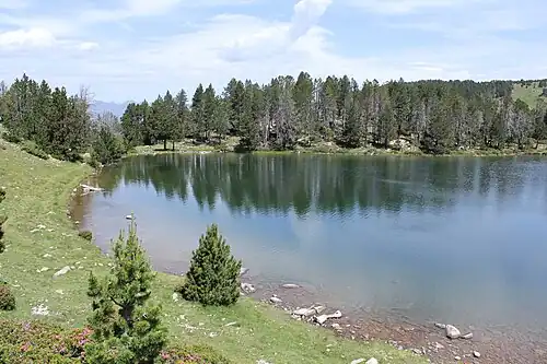 Image illustrative de l’article Estany de la Nou