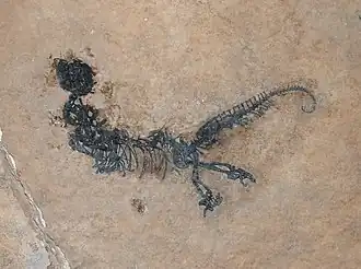 Description de cette image, également commentée ci-après