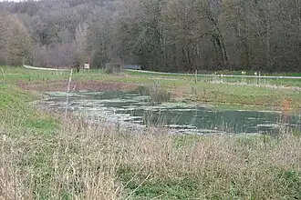 Zone humide dans le vallon de l'Ar.