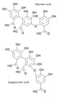 Comparaison des structures des acides sanguisorbique et valonéique.