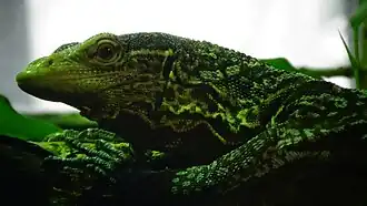 Ménagerie du Jardin des plantes Paris/France