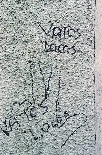 Image illustrative de l’article Vatos Locos